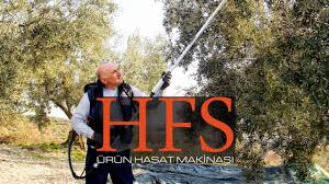 HFS