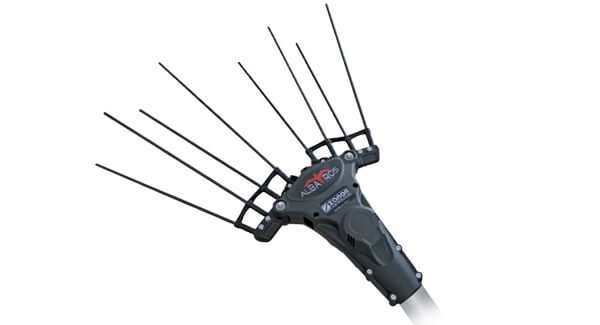 zanon carbonium